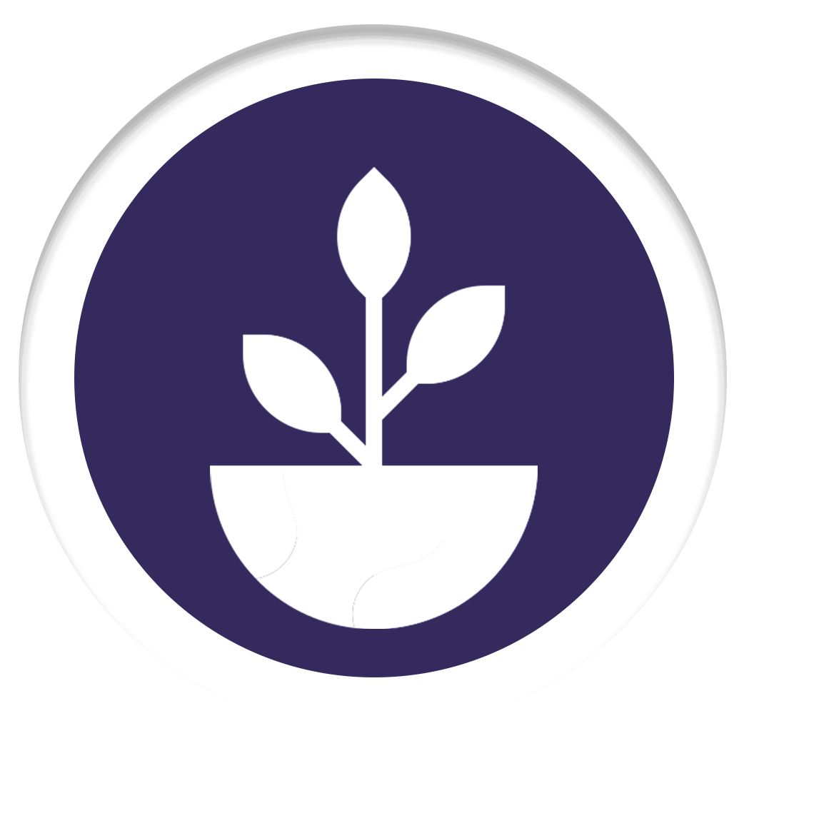 Plant Patent