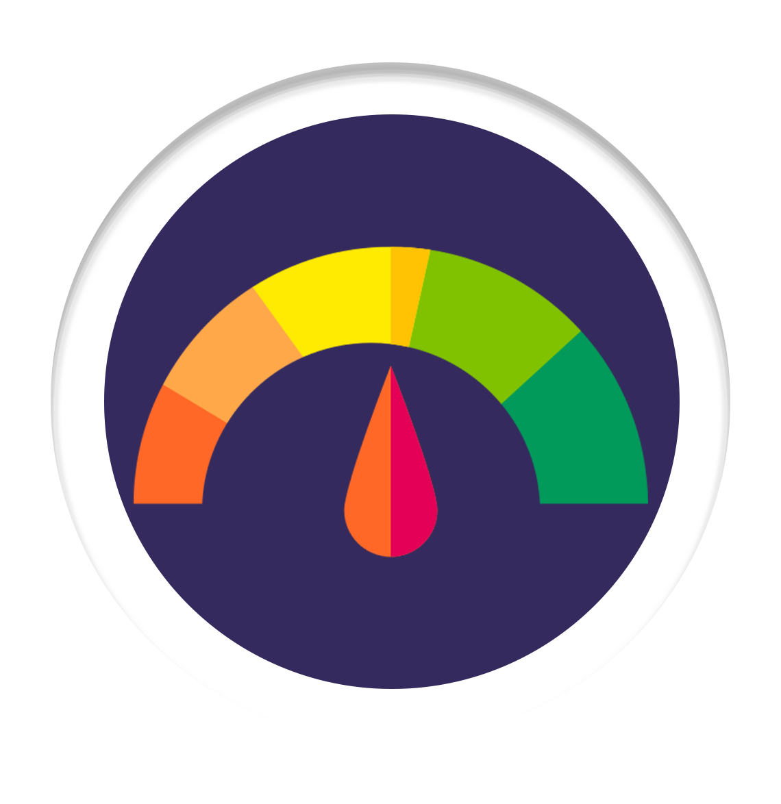 Credit Score